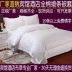Khách sạn lanh giường gói mã hóa email dày bông đồng bằng satin chăn đặc biệt 3 cm - Quilt Covers