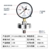 Đồng hồ đo áp suất màng dụng cụ Yichuan Thượng Hải YTP100ML 0-60MPa 