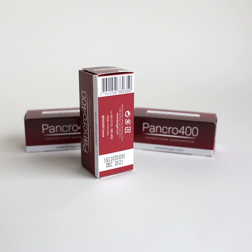 Черно -белая комната Lily Bergger Pancro 400 120 Черно -белая негативная пленка Черно -белая пленка