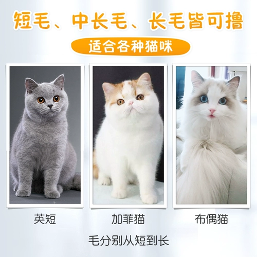 撸 Кошачья кошачья кошачья очистка приборы для очистки волос и поплавка, наполненные кошачьими волосами, кошачьи кошачья кисть для волос шерсть кошачьи принадлежности