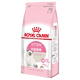 Royal Cat Thực phẩm cho sức khỏe tiêu hóa K36 2kg Garfield Fold Cat Thực phẩm chính Royal Cat Food hạt mèo catsrang Cat Staples