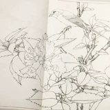 Китайская живопись с раскраскими шагами Гонгби.