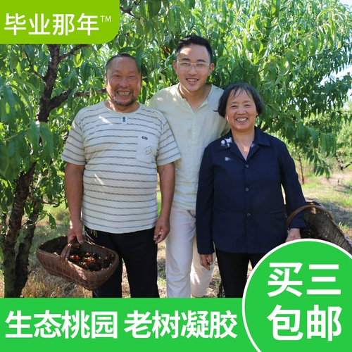 [В год выпускника_ 100 г дикой персиковой жвачки] Suizhou Natural Peach Blossom Tears Специализированные съедобные рис -сапонин -рис Партнер