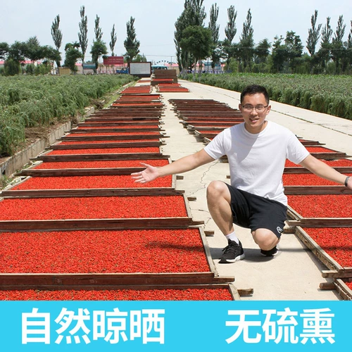 [Год argaination_ningxia wolfberry 100g] подлинный Zhongning Special Full Atubborn Red Gou Qizi купить три бесплатные доставки