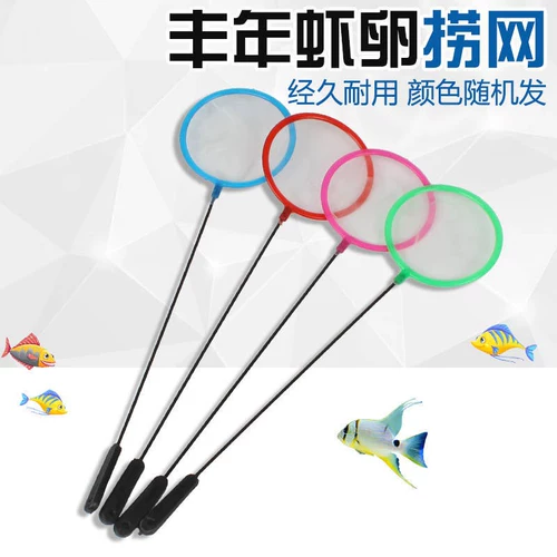 Аквариум, маленькая детская рыболовная сеть, ловля золотых рыбок