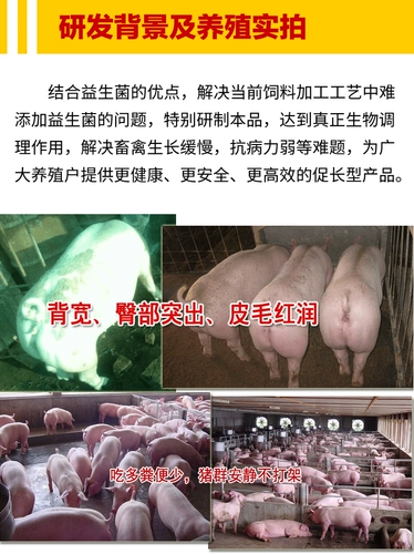 Продвижение пионера пионера поставки удобрений Premier Premier Пробиотики с высокой эффективностью свиньи корм для свиньи