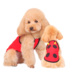 Puppy Dog Vest mùa hè Thin Teddy Bear Xiong Bomei Biến hình nhỏ Quần áo Puppy nhỏ Pet Dress Summer - Quần áo & phụ kiện thú cưng nón cho chó Quần áo & phụ kiện thú cưng