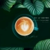 300ml Cốc cà phê gốm châu Âu Đặt Cup Lahua Cup Latte Cup Kabu Cup Zetian Cup SCAASCAE - Cà phê