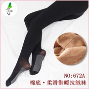 Yongchun quần lót mùa thu và mùa đông dày cộng với quần lót cotton cộng với nhung thịt màu dày xà cạp vớ dày