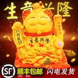 Золотой электрический коктейль кошачья кошка качание крупно