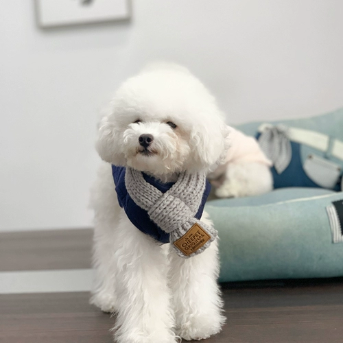 Стучать милый домашний шарф плюшевая собака waipan bone toca scarf cool dog coremer tide bar rucks собака шарф