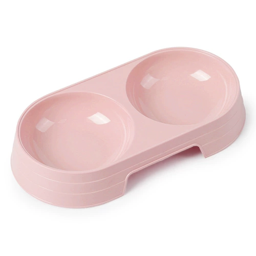 Тедди кот, собака, собаки, маленькая и средняя собака модернизирована