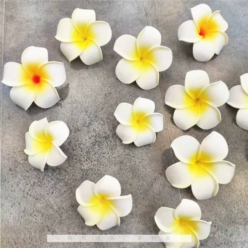 Plumeria очки магазин прилавок украшения реквизит очки витрина реквизит фотосъемка фон реквизит