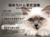 Nhật bản Maruha AIXIA mèo đỏ đóng hộp 170 gam * 12 lon Cá Ngừ đồ ăn nhẹ mèo 4 hương vị