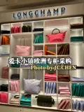[Германская покупка] Longchamp Exquisite Bag Security защита окружающей среды Небольшая коротка с коротки