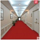 Thảm đỏ dùng một lần dày lên chải thảm sọc triển lãm khai mạc hôn cưới mat đặc biệt