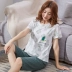Đồ ngủ mùa hè của phụ nữ phù hợp với bông ngắn- tay cắt quần Hàn Quốc phiên bản của phần mỏng lỏng hai mảnh mùa hè dịch vụ nhà có thể được đeo Bên ngoài ăn mặc