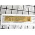 Cat Life Đức Gimpet Junbao Cat với nhiều loại kem dinh dưỡng vitamin kem sữa dinh dưỡng 200g - Cat / Dog Health bổ sung Sữa cho mèo trưởng thành Cat / Dog Health bổ sung