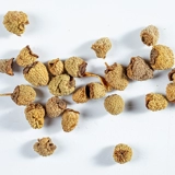 Малиновая малиновая малиновая малиновая малиновая малиновая малина