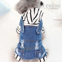 Qingcang Джинсовые брюки для брюки собака четыре -юбкая питомец Зима густая плюшевая одежда Бикхи медведь маленькая собака