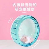 Alex Hamster Cage Double -Sroom Basic Cage Set Double -Layer Prevention Prison Super и Cheap Cleaning