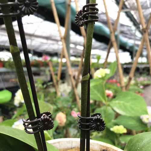 Лампа для растений с бабочкой, кабельные стяжки, орхидея, фиксаторы в комплекте