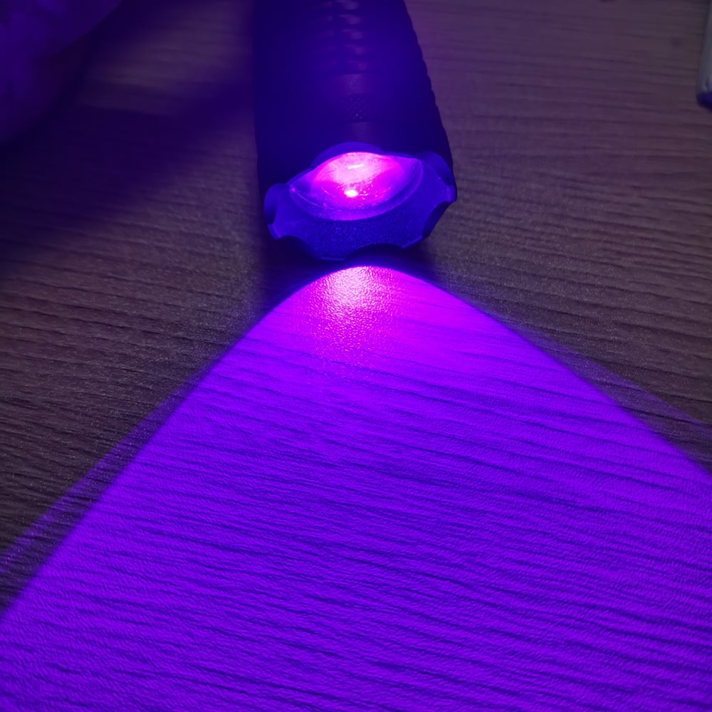 万众一心看护最美底色——绿色开展绘就支点建造新图景