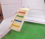 Pet Totona Squirrel Rabbit Product Product