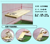 Pet Totona Squirrel Rabbit Product Product