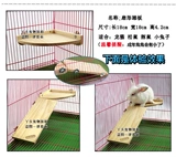 Pet Totona Squirrel Rabbit Product Product
