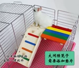 Pet Totona Squirrel Rabbit Product Product