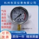 Hàng Châu Đông Á YN-100 máy đo áp suất địa chấn YN60 áp suất dầu địa chấn áp suất thủy lực 0-60 40 25 16MPA