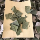 Лист лотоса листья лотоса натуральные новые лотосные листья камелия трава чай