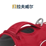 Rafewell Wang Dog's Dog's Beta Beta RW Dog Bare сообщил о Тедди Golden Shiba Inu La Dardy Teddy Products