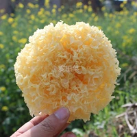 [Новые товары Dahua Tremella] Старый солдат Тремелла Херитан/Баймуер Снег/Сухое ухо -Снег 200 Г
