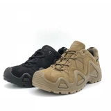 Lowa Zephyr Gtx Tf Lo Low Men's Men's Mudifunctional Outdoor Waterpronation Hydential Atteeering Shoes 310589