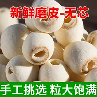 Huazhi Lotus Удалите ядро ​​белые семена лотоса сухие товары с большими кожаными семенами лотоса новые товары новые товары