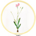 Nổi tiếng cổ nghệ thuật thêu Su thêu DIY kit sơn trang trí người mới bắt đầu orchid flower tay thêu 20 * 30 CM Bộ dụng cụ thêu