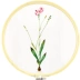 Nổi tiếng cổ nghệ thuật thêu Su thêu DIY kit sơn trang trí người mới bắt đầu orchid flower tay thêu 20 * 30 CM tranh thêu đồng hồ Bộ dụng cụ thêu