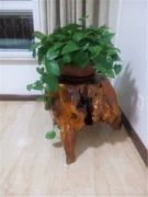 Bàn cà phê gỗ gốc khắc rắn cơ sở ghế phân hoa đứng gốc cây trụ gỗ phân tự nhiên trang trí bằng gỗ băng ghế gốc cây - Các món ăn khao khát gốc