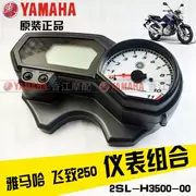 Xây dựng Yamaha Feizhi 250 lắp ráp dụng cụ YS250 dụng cụ mã mét đo đường kế tachometer phụ kiện gốc - Power Meter