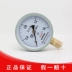 Nhà sản xuất dụng cụ Hongqi bán hàng trực tiếp đồng hồ đo áp suất thông thường 4 điểm 1.6mpa quay số 100mm áp suất nước và khí phổ quát 