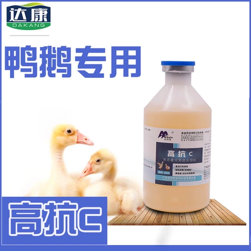 Goose Duck Plipue Posten Blip -influenza Virus Duck Duck Duck Small Virus Three -Week Becory Antomement [High Anty -Anti -c]