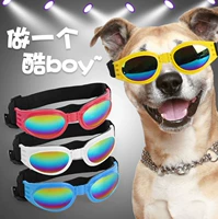 СОБАКИ ОКЛАГИ ПЕТ ПЕТОГ Солнцезащитные очки уход