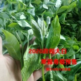 2020 Qiu Teazheng и белый чай Shoumei Политический Бай Лу Ханью Гонгмей Сан -чай 500G