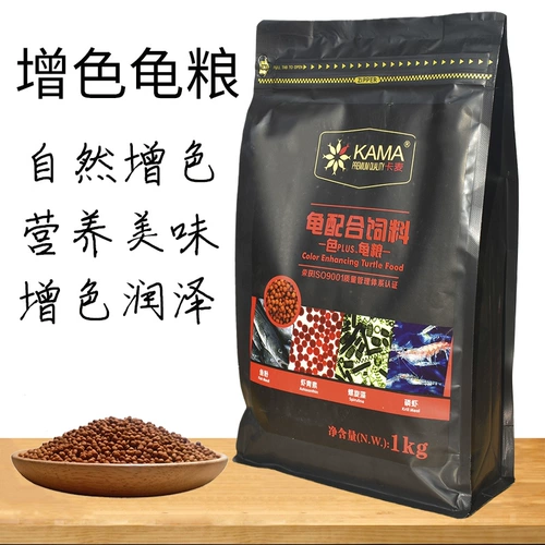 Pinja Turtle Grain Glood Turtl