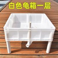 Белая коробка черепахи (1 слой)