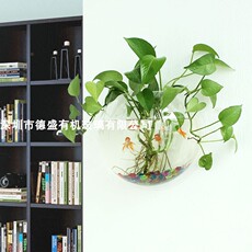 ПММА 创意壁挂鱼缸悬挂挂墙水族箱生态客厅餐厅亚克力墙壁金鱼缸迷你缸