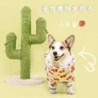 Клубника, дождевик