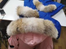 меховой воротник 大鹅羽绒服毛领单卖加拿大郊狼毛领订制更换飞行员08远征郊狼毛领